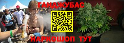 сатива Балаково
