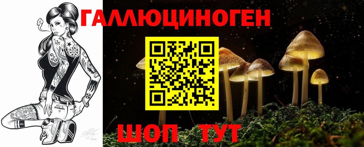 Псилоцибиновые грибы Psilocybe  Вход с VPN  Верхний Уфалей  Псилоцибиновые грибы MAGIC MUSHROOMS 